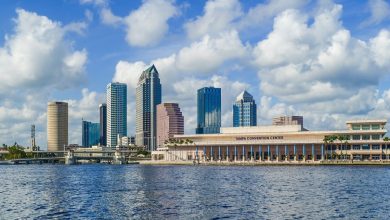 Most Amazing Things to do in Tampa