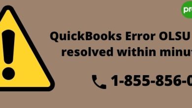 QuickBooks Error OLSU 1013