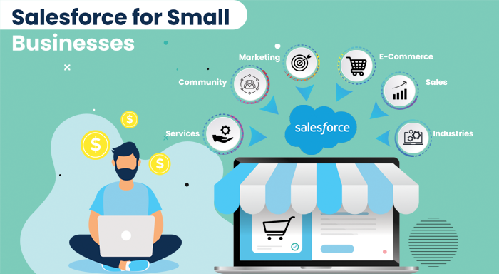 Salesforce for Small Businesses