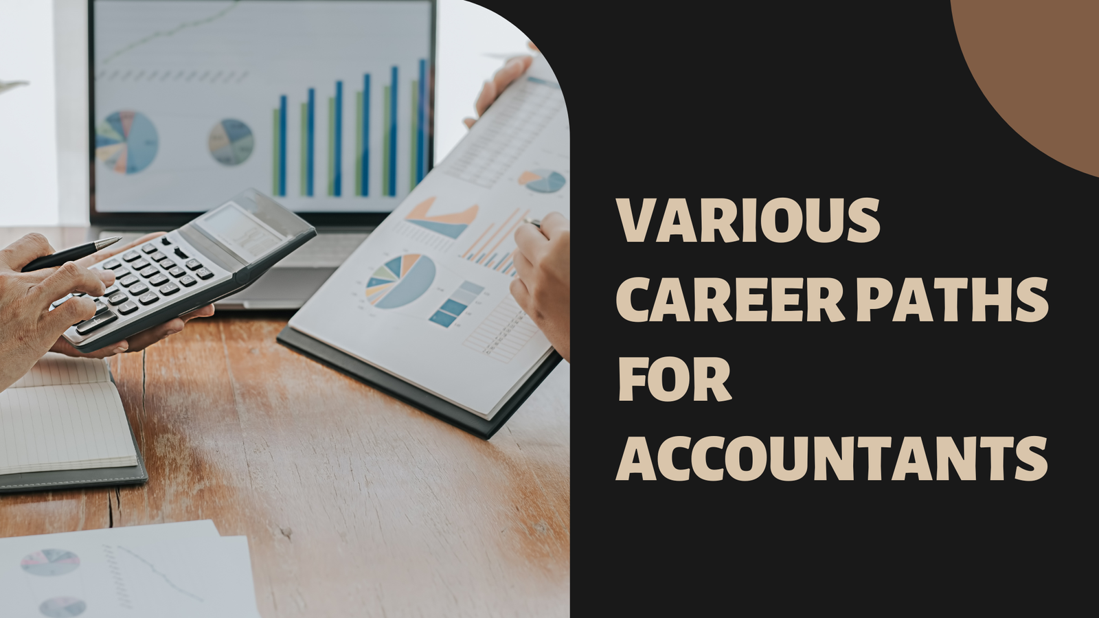 Various Career Paths For Accountants Business Hear   Accounting Career Path 