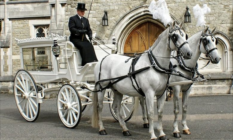 horse and carriage for funeral near me
