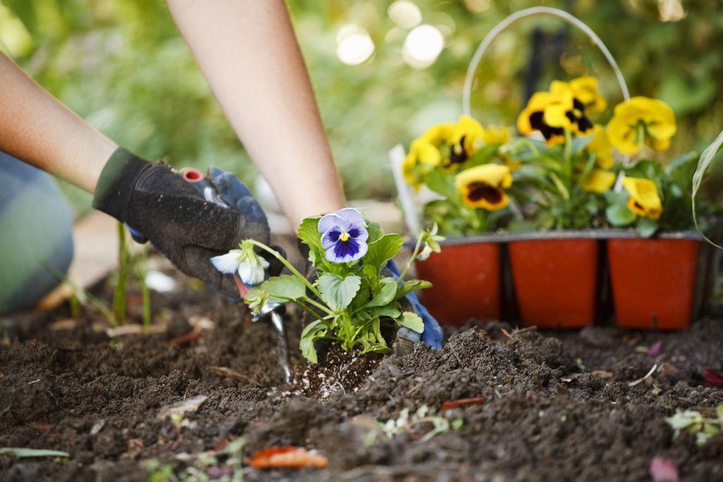 Restrict any unnecessary chemicals in your garden