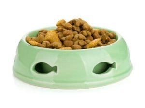 Organic meaty diets for cats and dogs