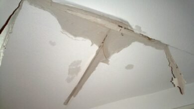 How to Stop a Ceiling Leak in the Great Southern WA